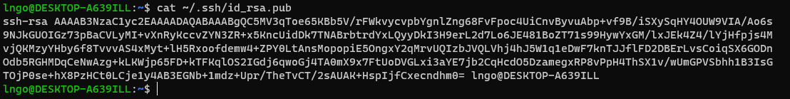 Example content of a public key